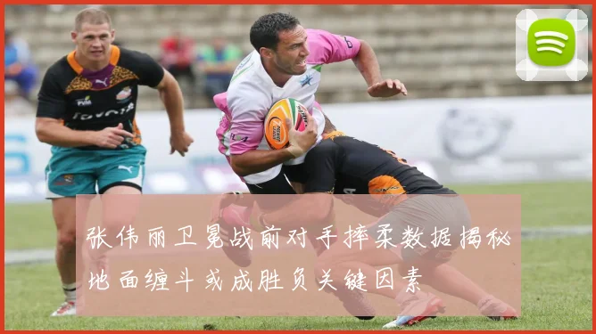 张伟丽卫冕战前对手摔柔数据揭秘地面缠斗或成胜负关键因素